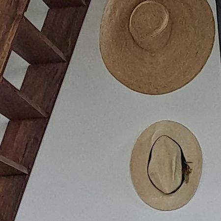 Farida Boekestijn Villa Jagtlust Exteriör bild